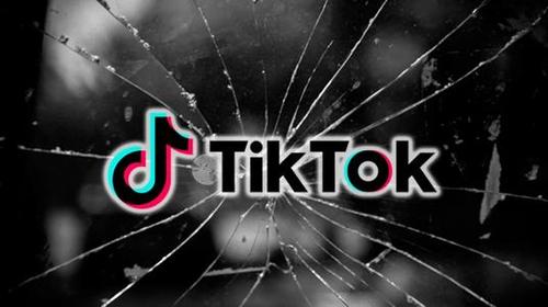TikTok and the Future of Bio-Content